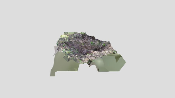 Badger sett hole 6 3D Model