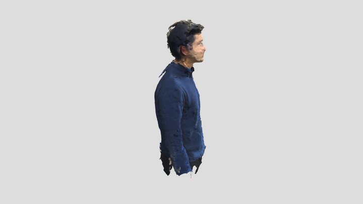 Poly 3D Model