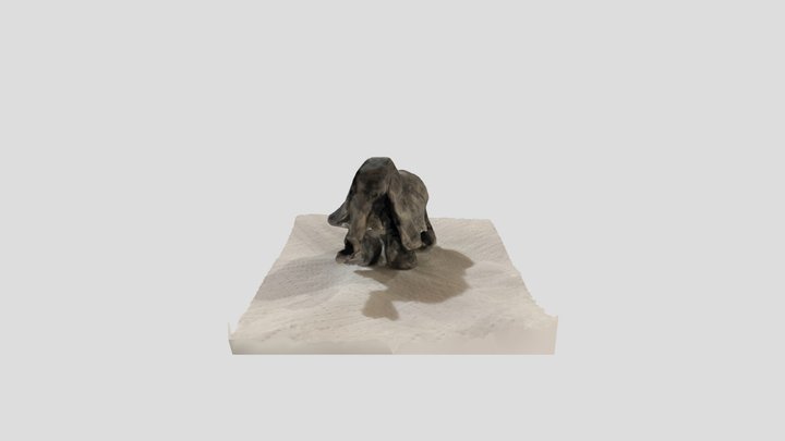 Elefante Kuri 3D Model