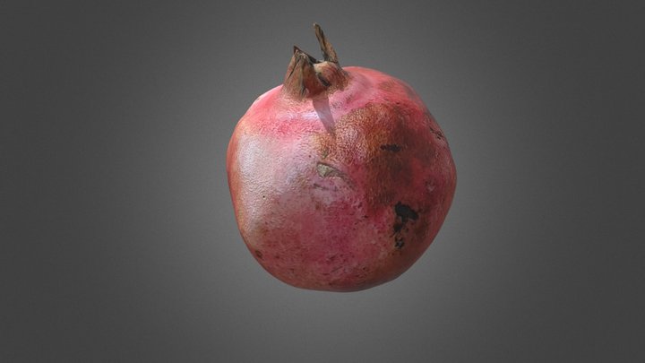 Pomegranate 3D Model