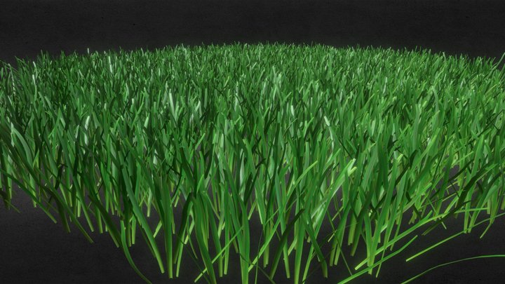 grass 3d model 3D Model