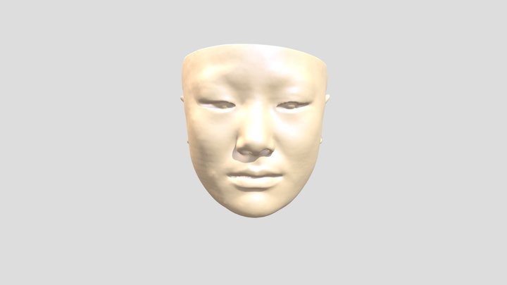 skin 3D Model