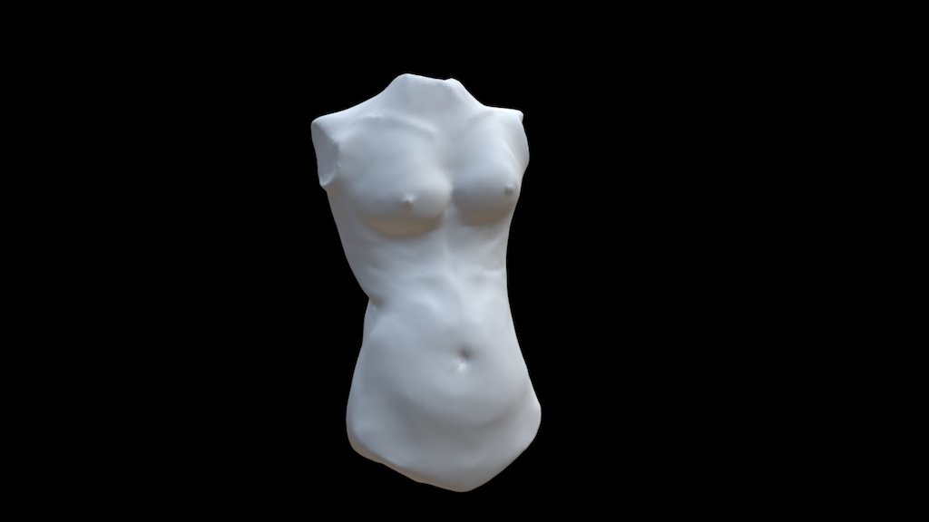 Female Body Study / Roman Statue