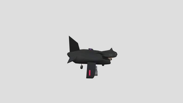 Maxwell Plane (dingus the cat plane) 3D Model