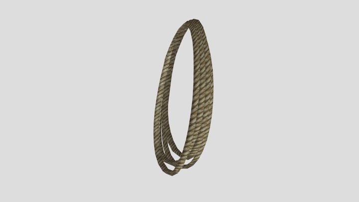 RDR1 - Lasso 3D Model