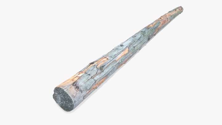Long Pine Rotten Log 3D Model