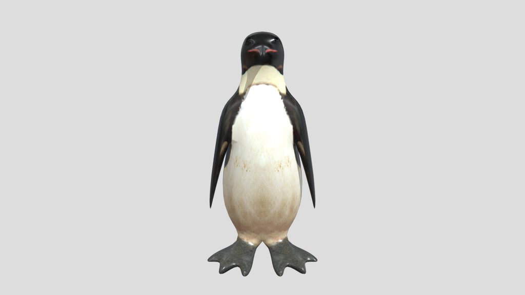 Penguin