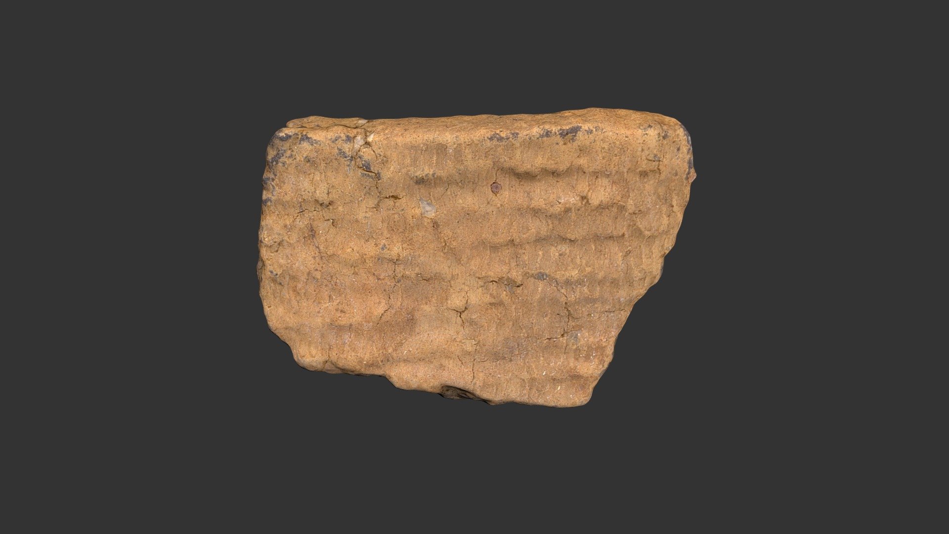 Yadkin Fabric Marked Rimsherd (301p10)