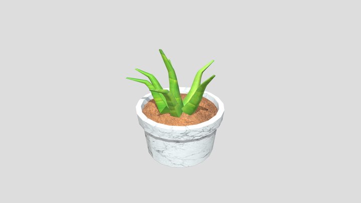 week 8 potted plant 3D Model