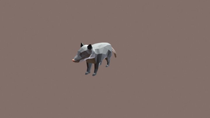 Zarigüeya 3D Model