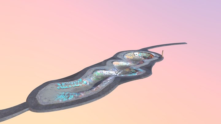 Seylynn Bowl Skatepark 3D Model