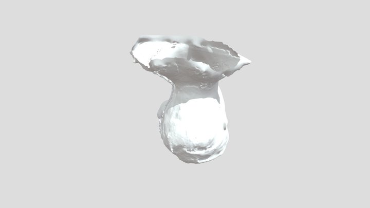 Head study_01 3D Model