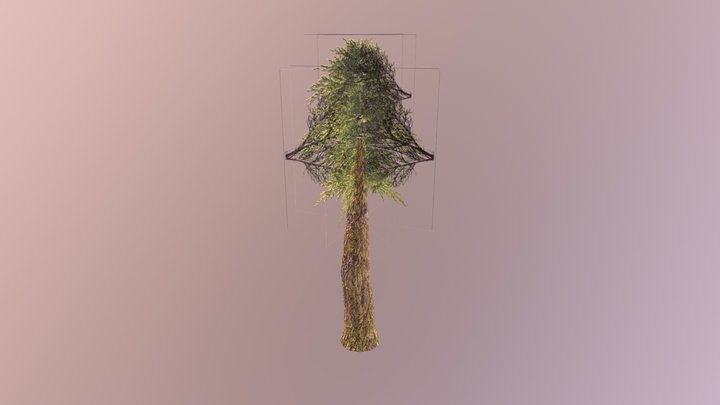 Árvore 3D Model