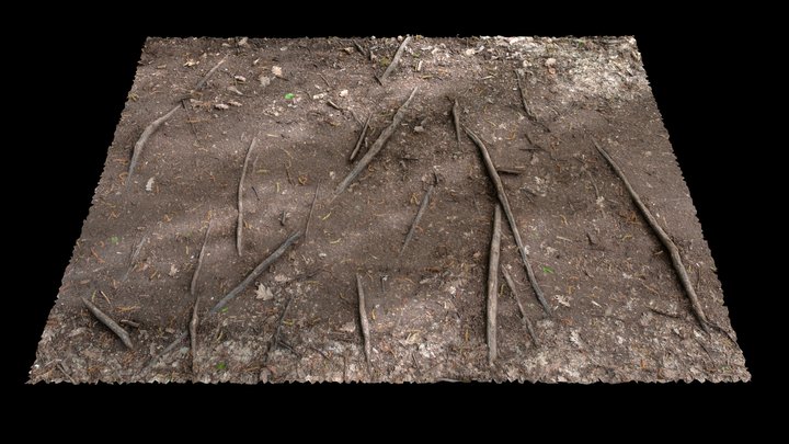 Forest surface scan 3D Model