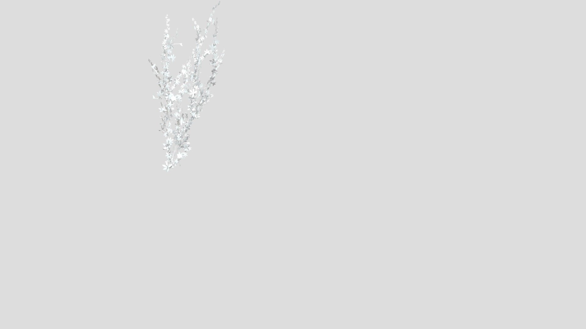 nonschool_PASSIFLORA