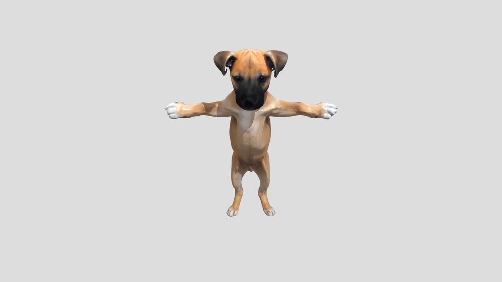 Meshy_AI_T_Pose_Pup_0501070135_texture_fbx