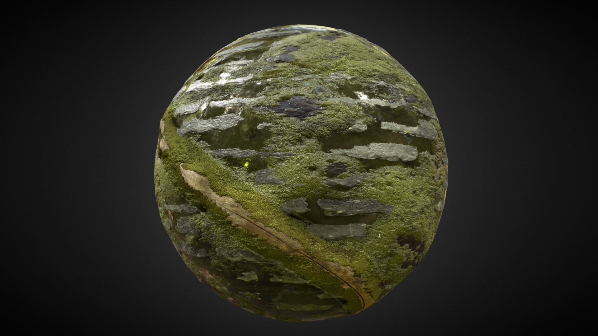 3D model Old Stone Path - This is a 3D model of the Old Stone Path. The 3D model is about a green and white rock.