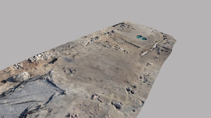 Gard 19 1 V3 3D Model