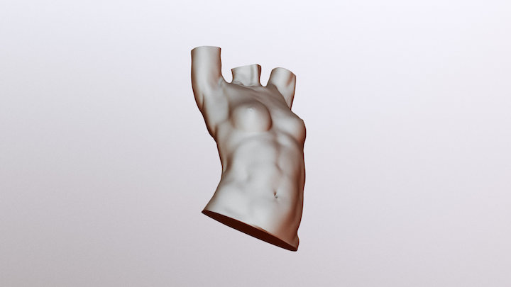 DFS week01.01 female torso 3D Model