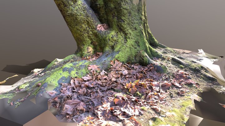 tree03 3D Model