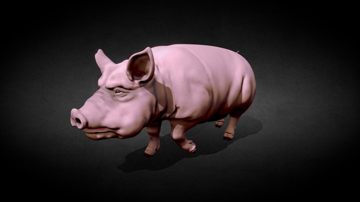 Pig 3D Model