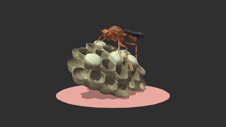 Red Paper Wasp 3D Model