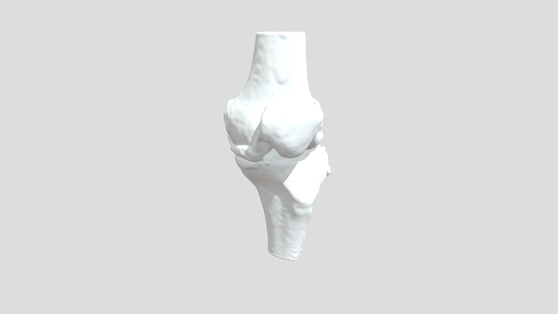 Segmentation Nimyltbone