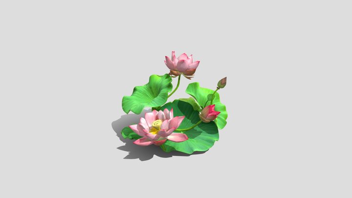 Lotus Leaf with flowers 3d Modle Free – Kostenloses 3D-Modell STL