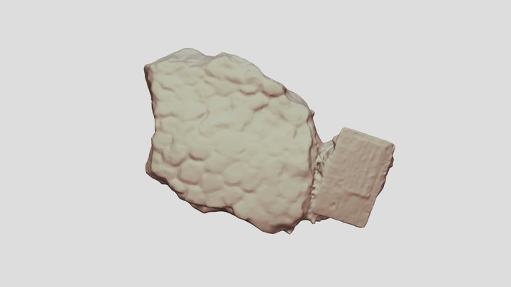 Skin Sauropod Porto Dinheiro 3D Model