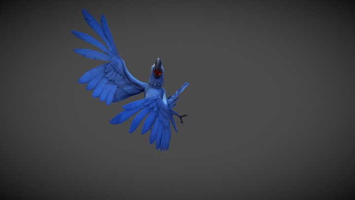 Blu 3D Model