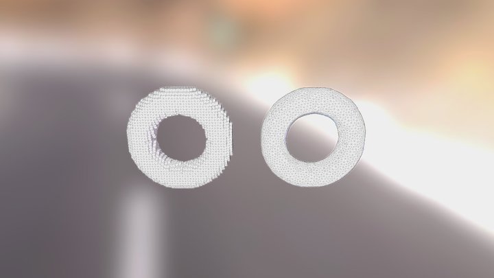 Test Torus 3D Model