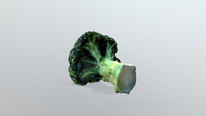 Broccoli | 03.12.21 3D Model