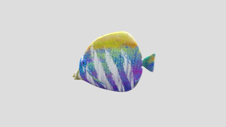 RodriguezFISH 3D Model