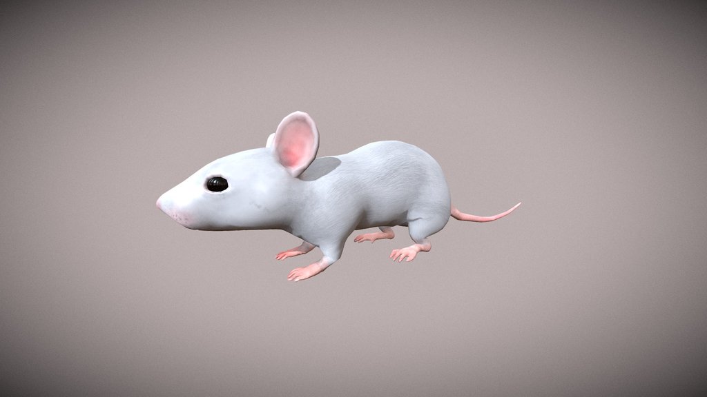 Mouse