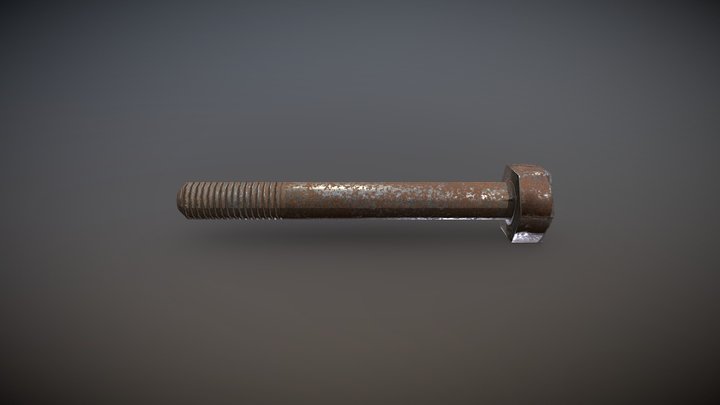 Simple Rusty Screw 3D Model