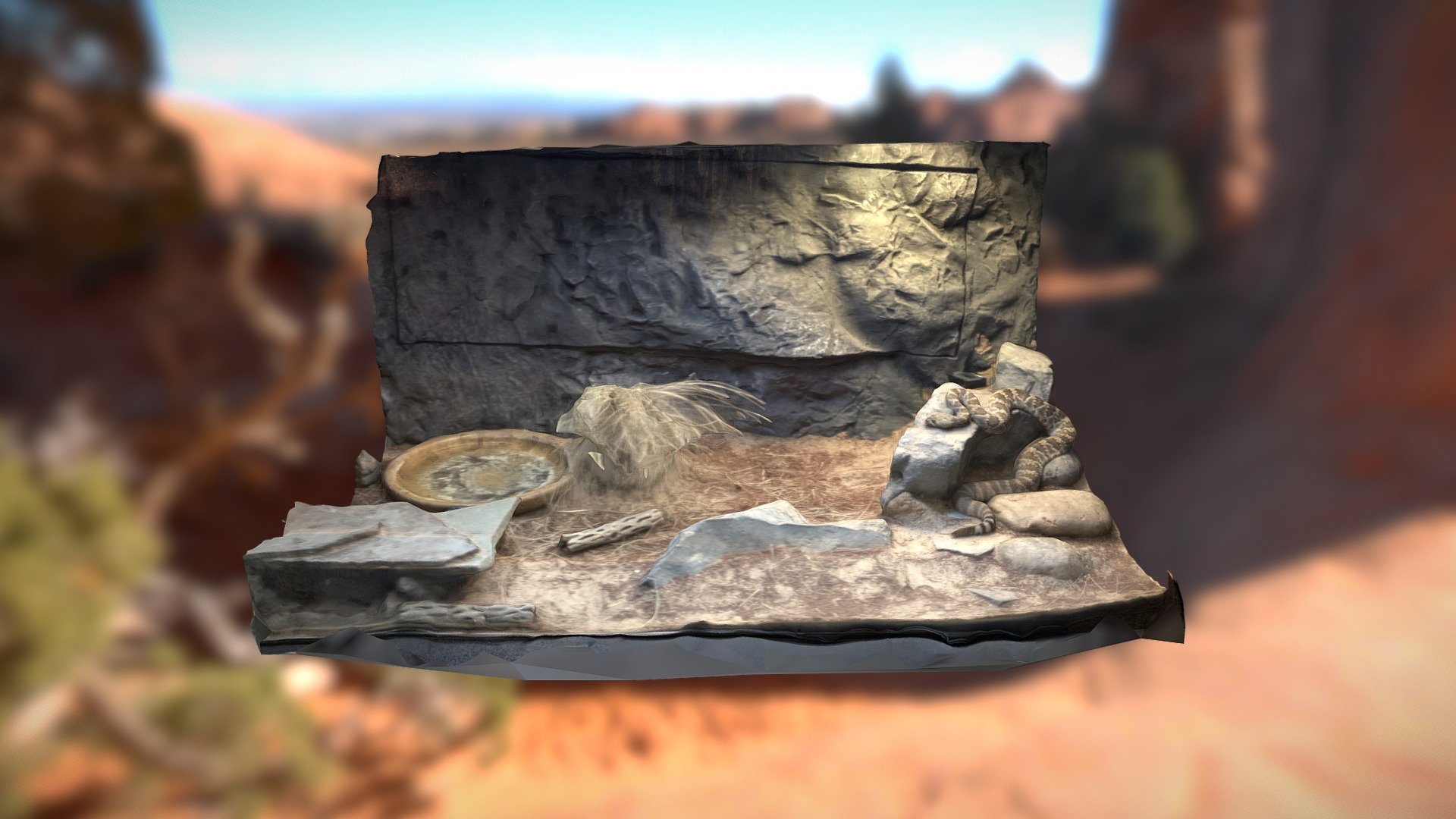 Rattle Snake Terrarium Photogrammetry