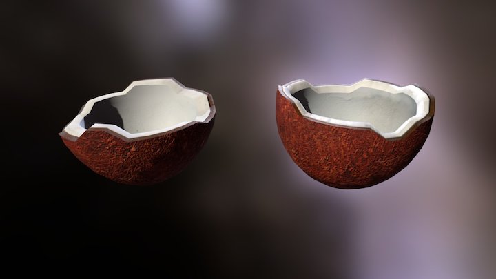 Coconut 3D Model