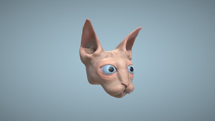 Sphynx Cat 3D Model