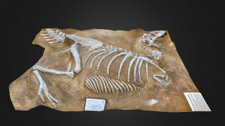Tarbosaurus