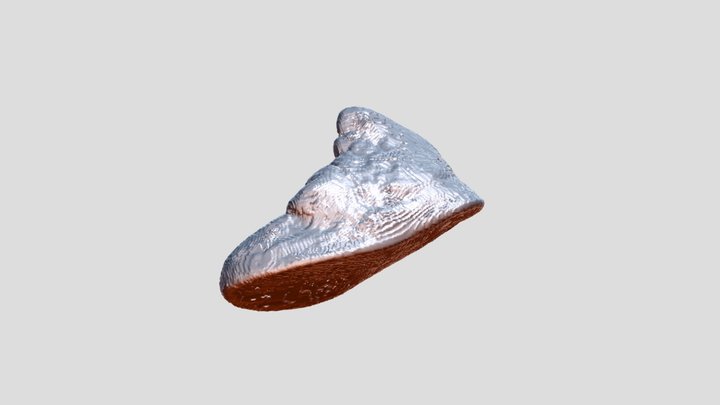 Cc1 3D Model