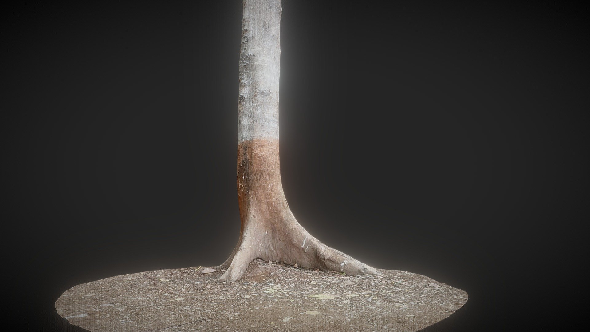 Tree Trunk - Download Free 3D model by raobott [bf606a2] - Sketchfab