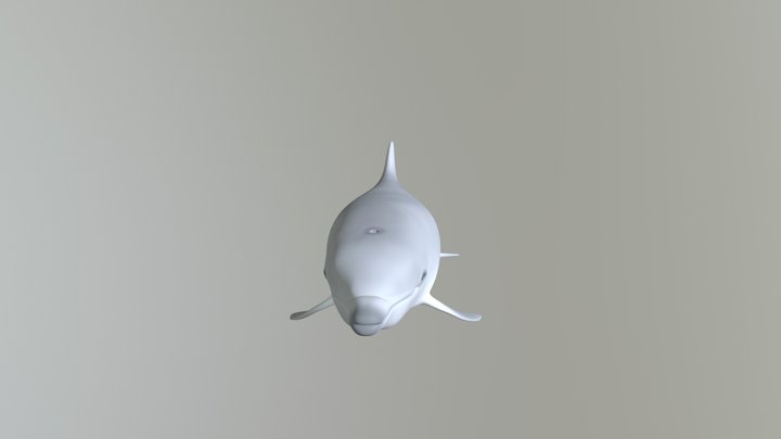 海豚 3D Model