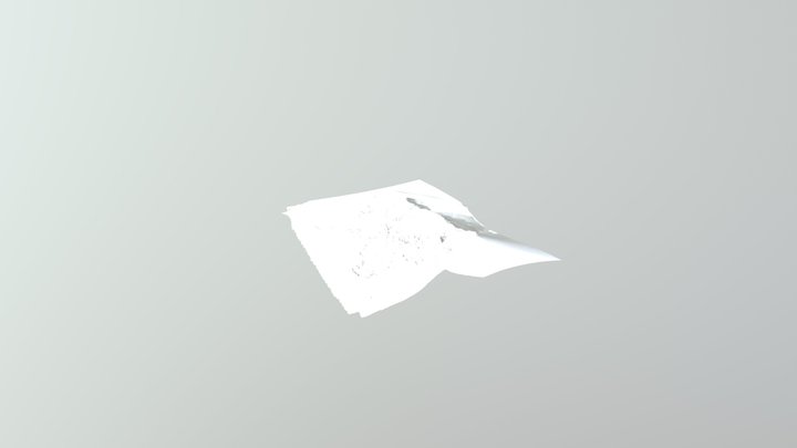meang 3D Model