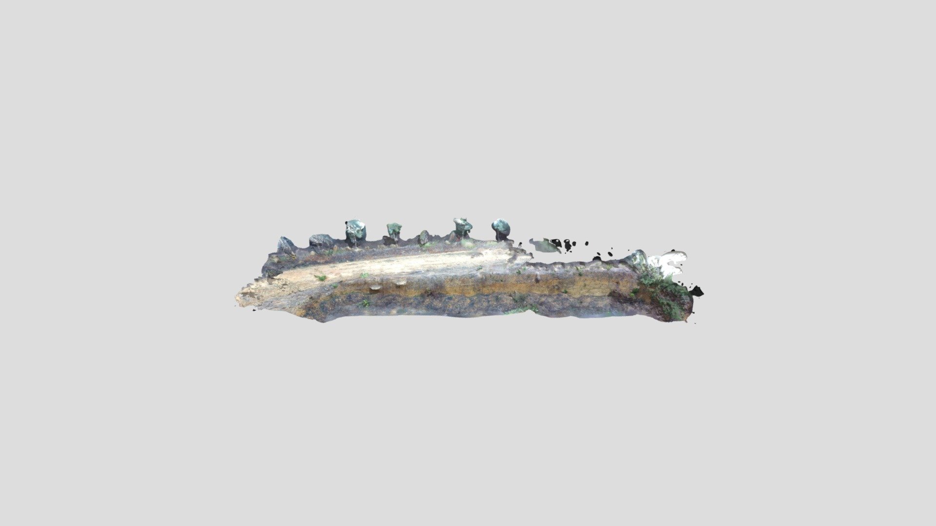 Tropical Rock Outcrop