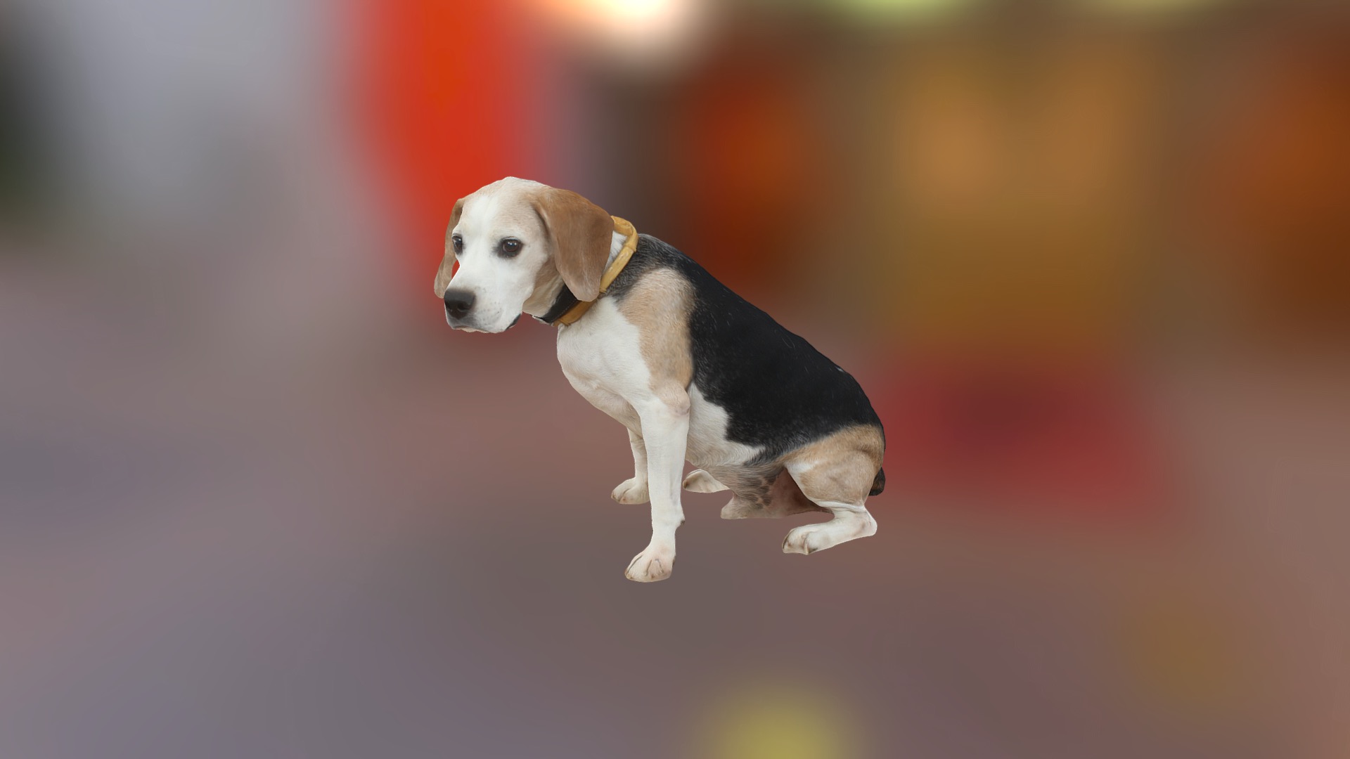 3D model Poker The Beagle - This is a 3D model of the Poker The Beagle. The 3D model is about a dog standing on a red background.