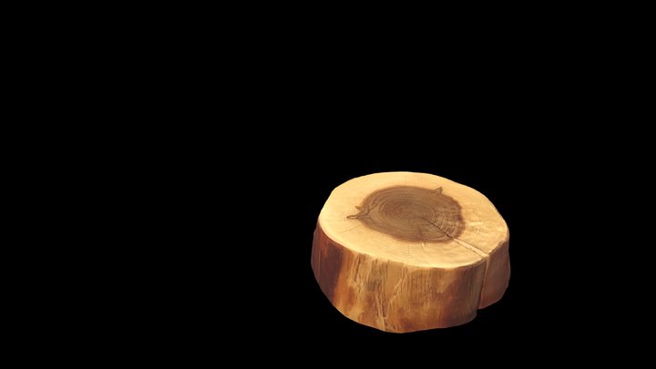 Слоеве дървесина 3D Model
