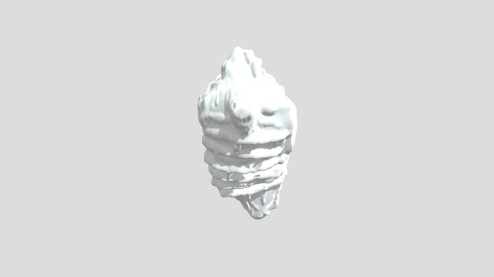 Torso 3D Model