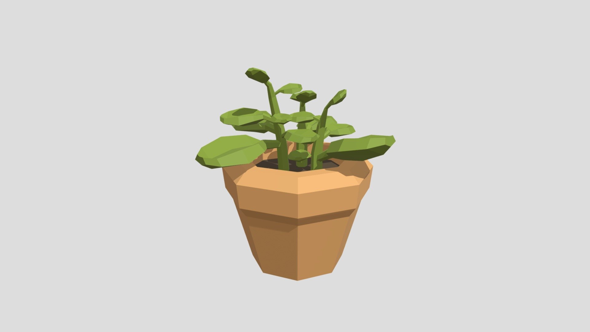 House plant from Poly by Google
