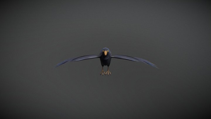 Hello Neighbor Crow 3D Model