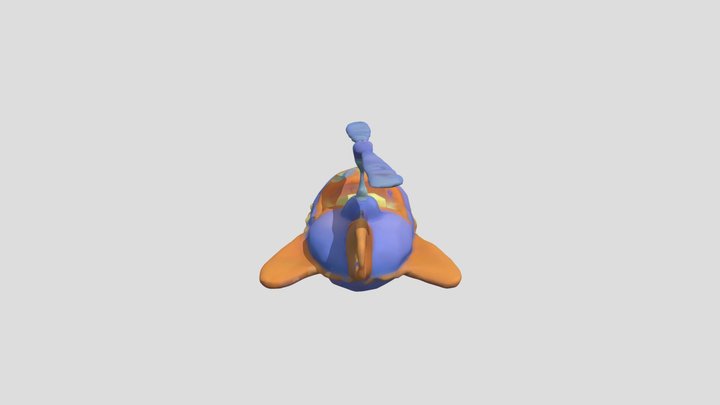 Alpha Pig's Why-Flyer 3D Model